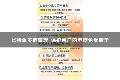 比特派多链管理 保护用户的电脑免受袭击