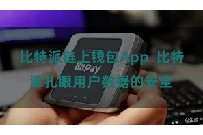 比特派链上钱包App  比特派扎眼用户数据的安全