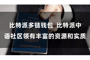 比特派多链钱包  比特派中语社区领有丰富的资源和实质