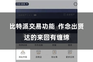 比特派交易功能  作念出贤达的来回有缠绵