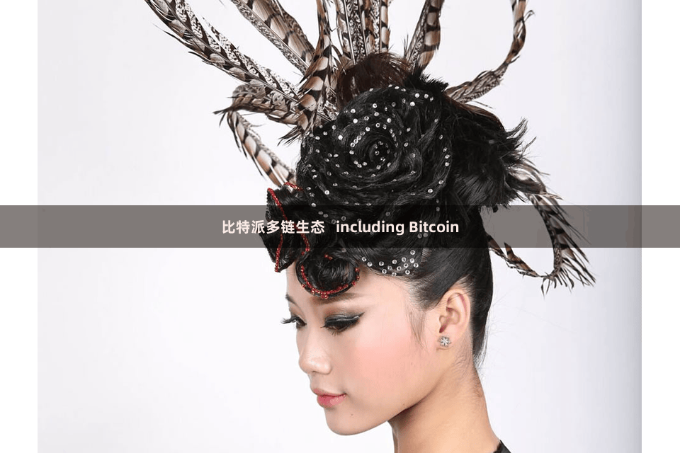 比特派多链生态   including Bitcoin