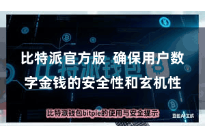 比特派官方版  确保用户数字金钱的安全性和玄机性