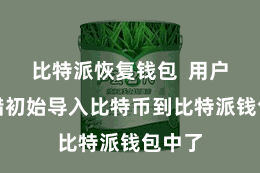 比特派恢复钱包  用户就不错初始导入比特币到比特派钱包中了
